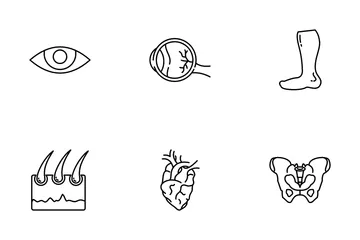 Human Organs Icon Pack