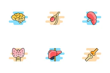 Human Organs Icon Pack