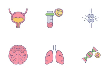 Human Organs Icon Pack