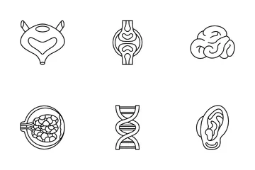 Human Organs Icon Pack