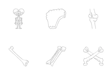 Human Skeleton Icon Pack