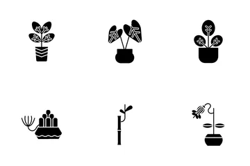 Indoor Plants Icon Pack