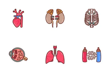 Innere menschliche Organe Symbolpack