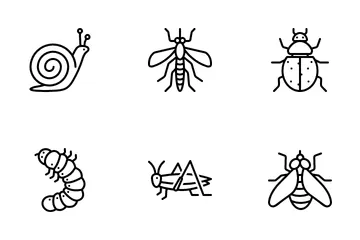 Insect Icon Pack