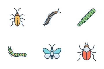 Insect Icon Pack