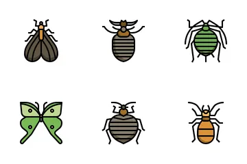 Insecto Paquete de Iconos