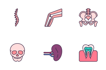 Internal Human Organs Icon Pack