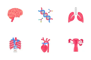 Internal Human Organs Icon Pack