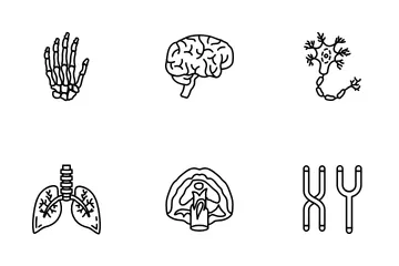 Internal Human Organs Icon Pack