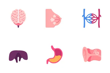 Internal Human Organs Icon Pack