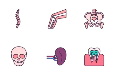 Internal Human Organs Icon Pack