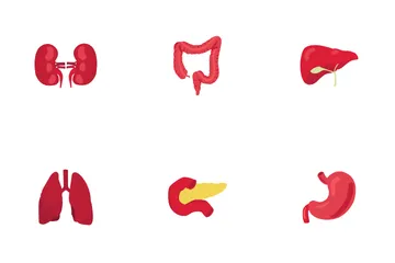 Internal Organ Human Body Icon Pack