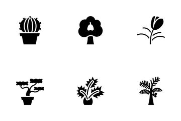 Kind Of Tree Icon Pack