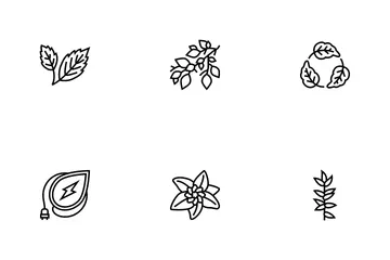 Leaf Branch Natural Foliage Tree Icon Pack