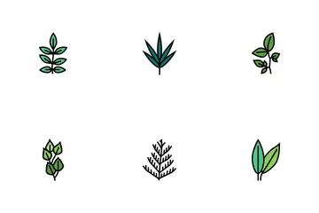 Leaf Of Tree Icon Pack