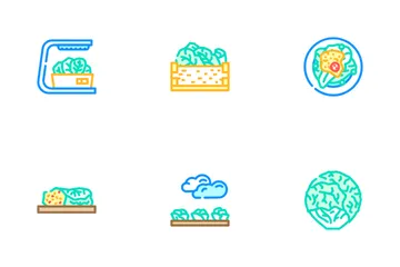 Lettuce Salad Leaf Vegetable Icon Pack