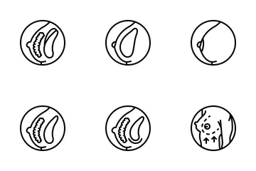 医療 - 豊胸手術 アイコンパック