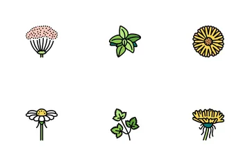 Medical Herb Natural Ingredient Icon Pack