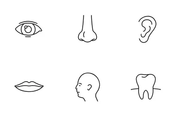 Menschliche Anatomie Symbolpack