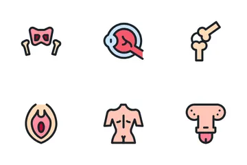 Menschliche Anatomie Symbolpack