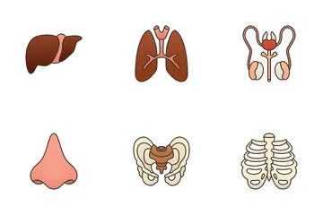 Menschliche Organe Symbolpack