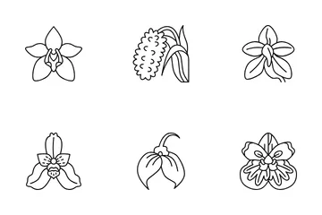 Orchids Flowers Icon Pack