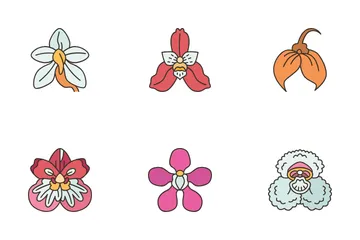 Orchids Flowers Icon Pack