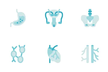 Organ Anatomy Icon Pack