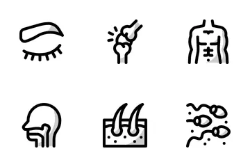 Organ Anatomy Icon Pack