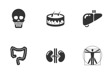 Organ Icon Pack