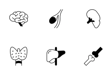 Organe humain Pack d'Icônes