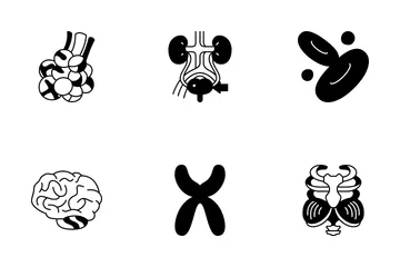 Organes humains 1 Icon Pack