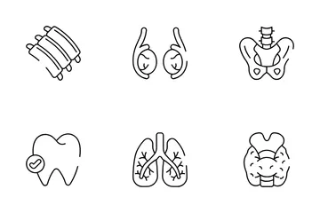 Órgãos do Corpo Humano Pacote de Ícones