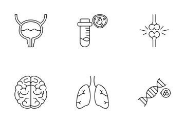 Órgãos Humanos Pacote de Ícones