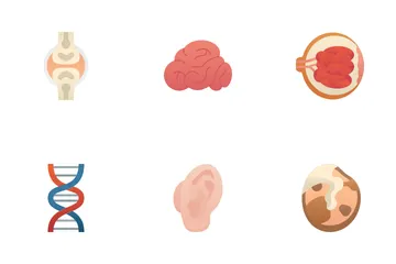 Órgãos Humanos Pacote de Ícones