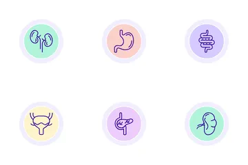 Órgãos Humanos Pacote de Ícones