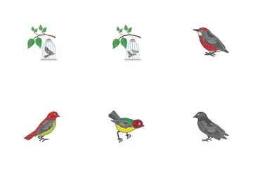 Pájaro Paquete de Iconos