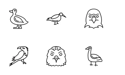 Aves Paquete de Iconos