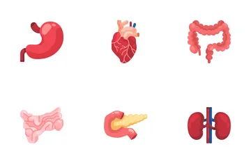 Parte do corpo humano Pacote de Ícones