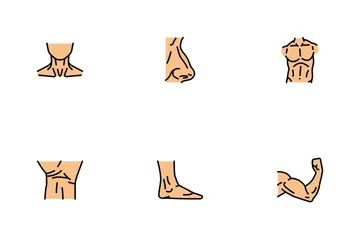 Partes corporais e faciais de pessoas Pacote de Ícones