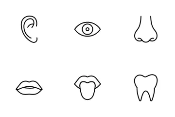 Partes do corpo humano Pacote de Ícones