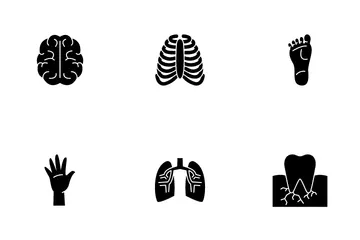 Partes do corpo humano Pacote de Ícones