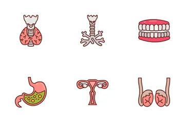 Partes e órgãos do corpo humano Pacote de Ícones