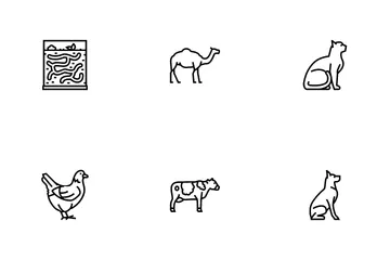 Pets Domestic Animal Icon Pack