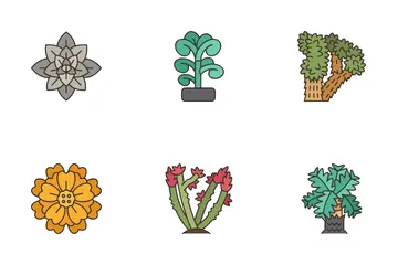 Plantas do Deserto Pacote de Ícones