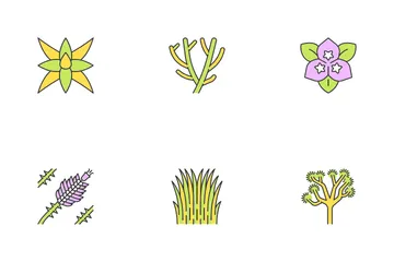 Plantas do Deserto Pacote de Ícones