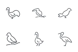 Set Of Birds Thinline Icons