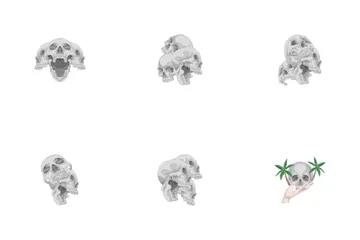 Skull Icon Pack