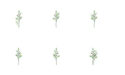 Spring Flower Plant Icon Pack