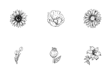 Tipo de flor Pacote de Ícones